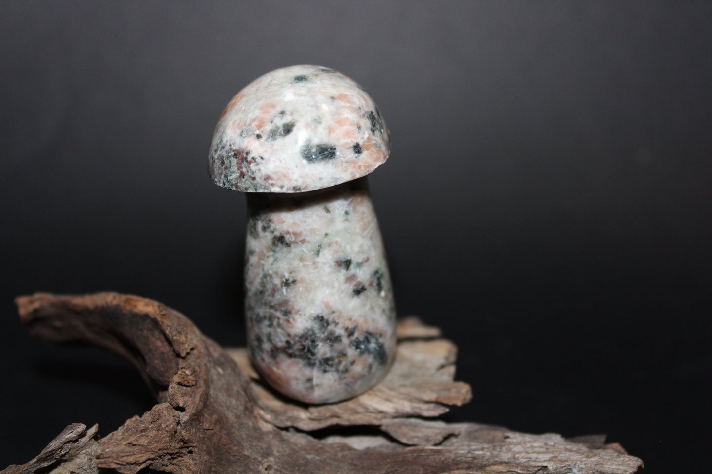 Carved - Mushroom - Rhodonite