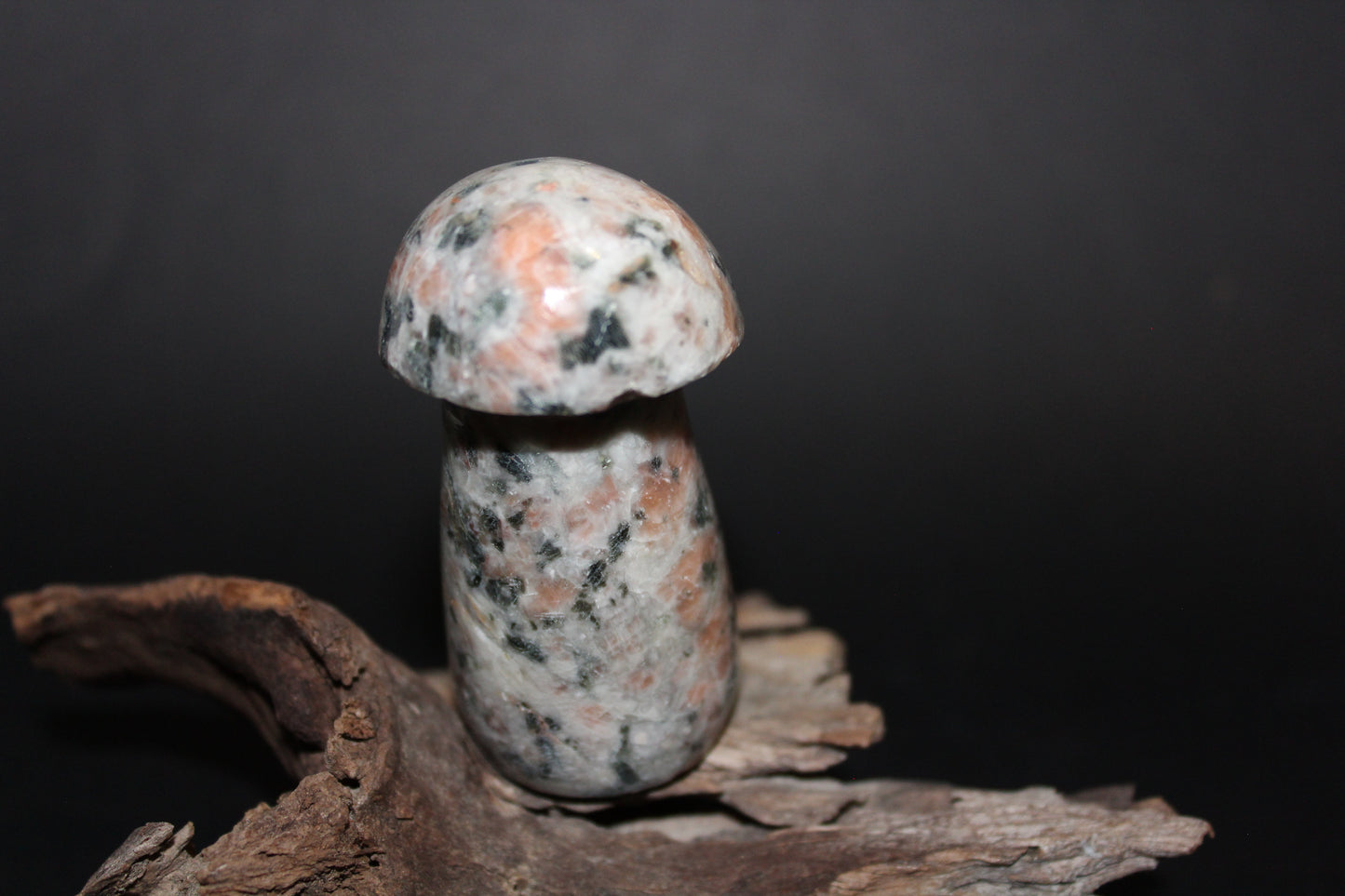 Carved - Mushroom - Rhodonite