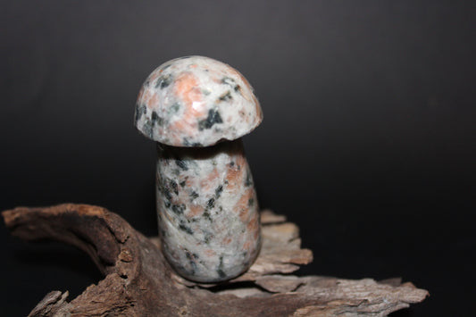 Carved - Mushroom - Rhodonite