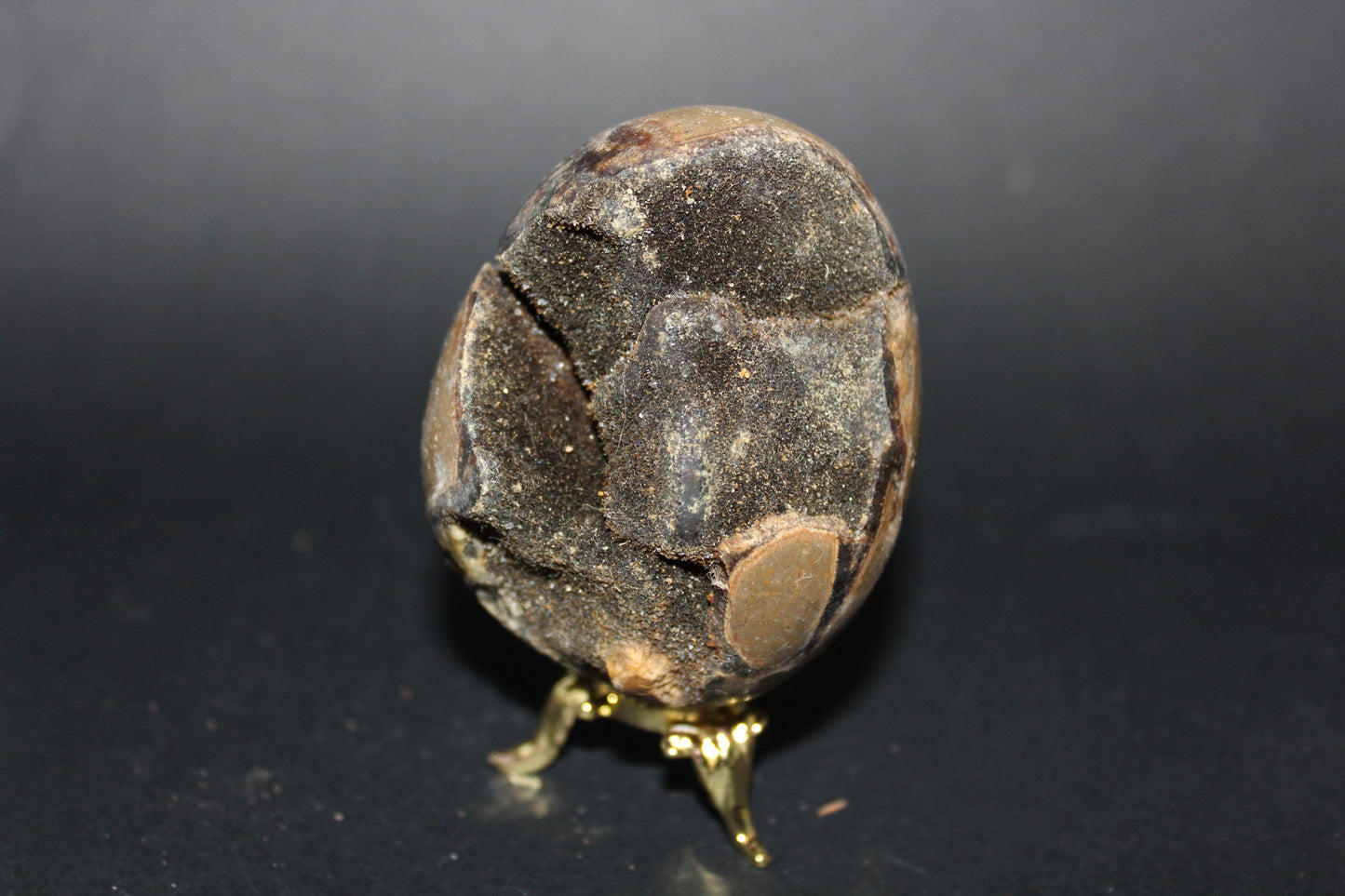 Carved - Egg (open) - Septarian