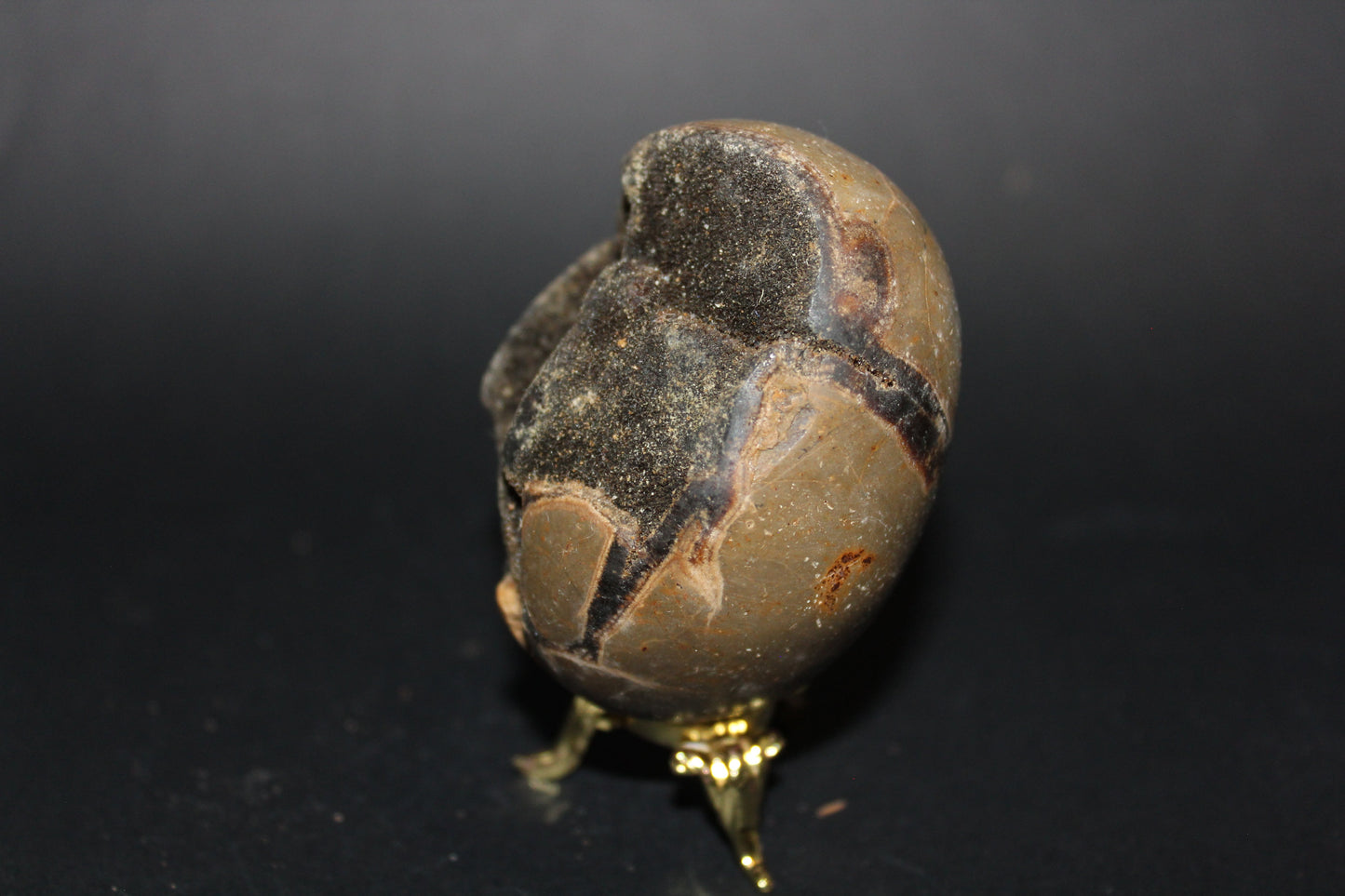 Carved - Egg (open) - Septarian