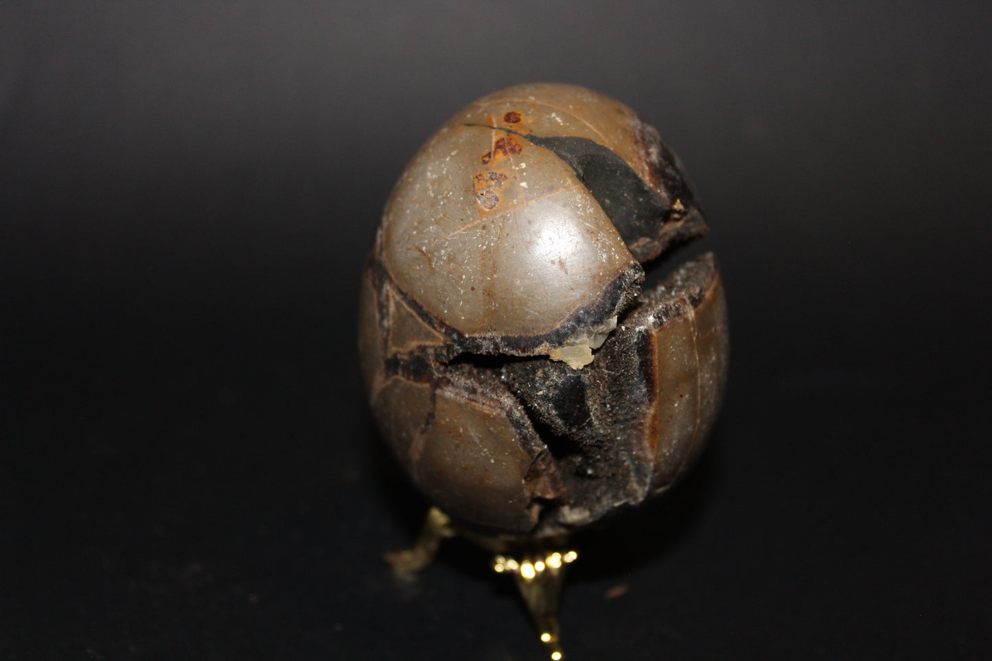 Carved - Egg (open) - Septarian