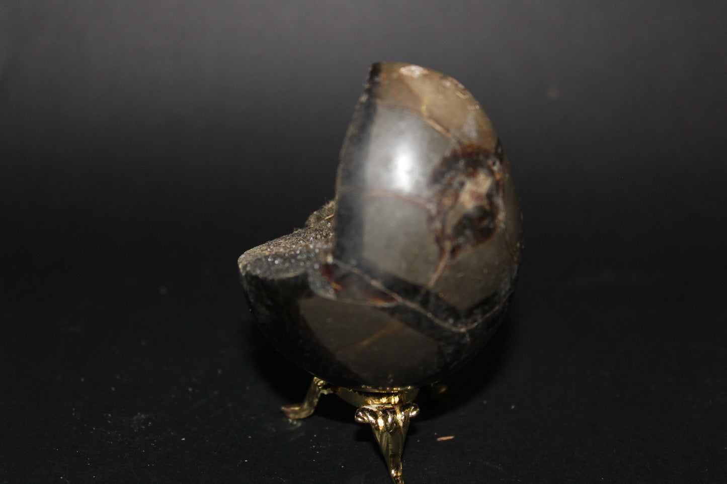 Carved - Egg (open) - Septarian