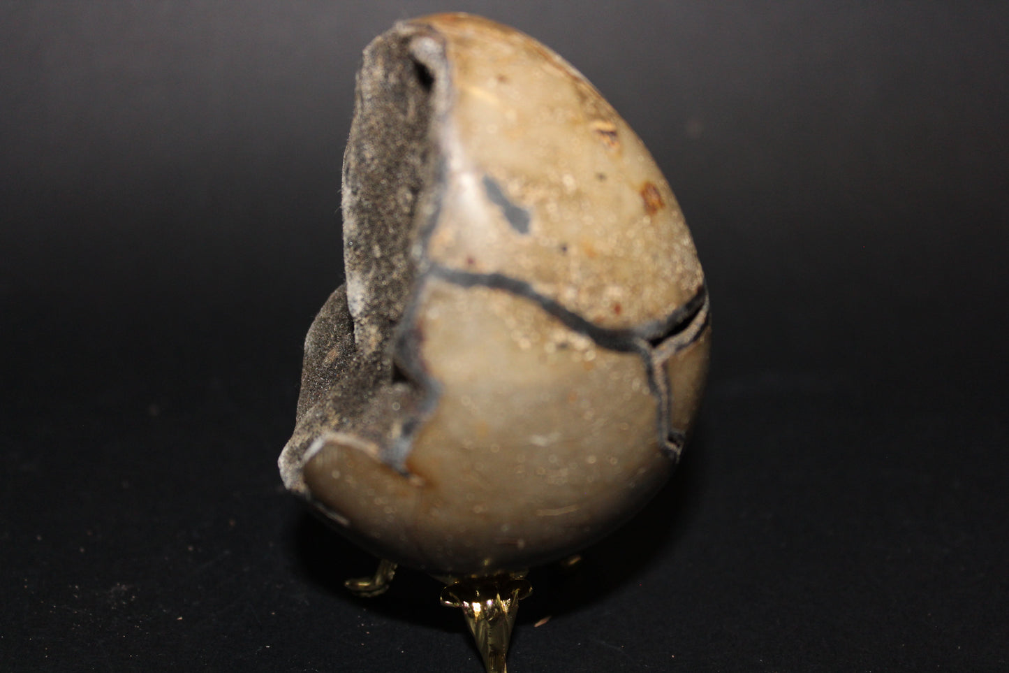 Carved - Egg (open) - Septarian