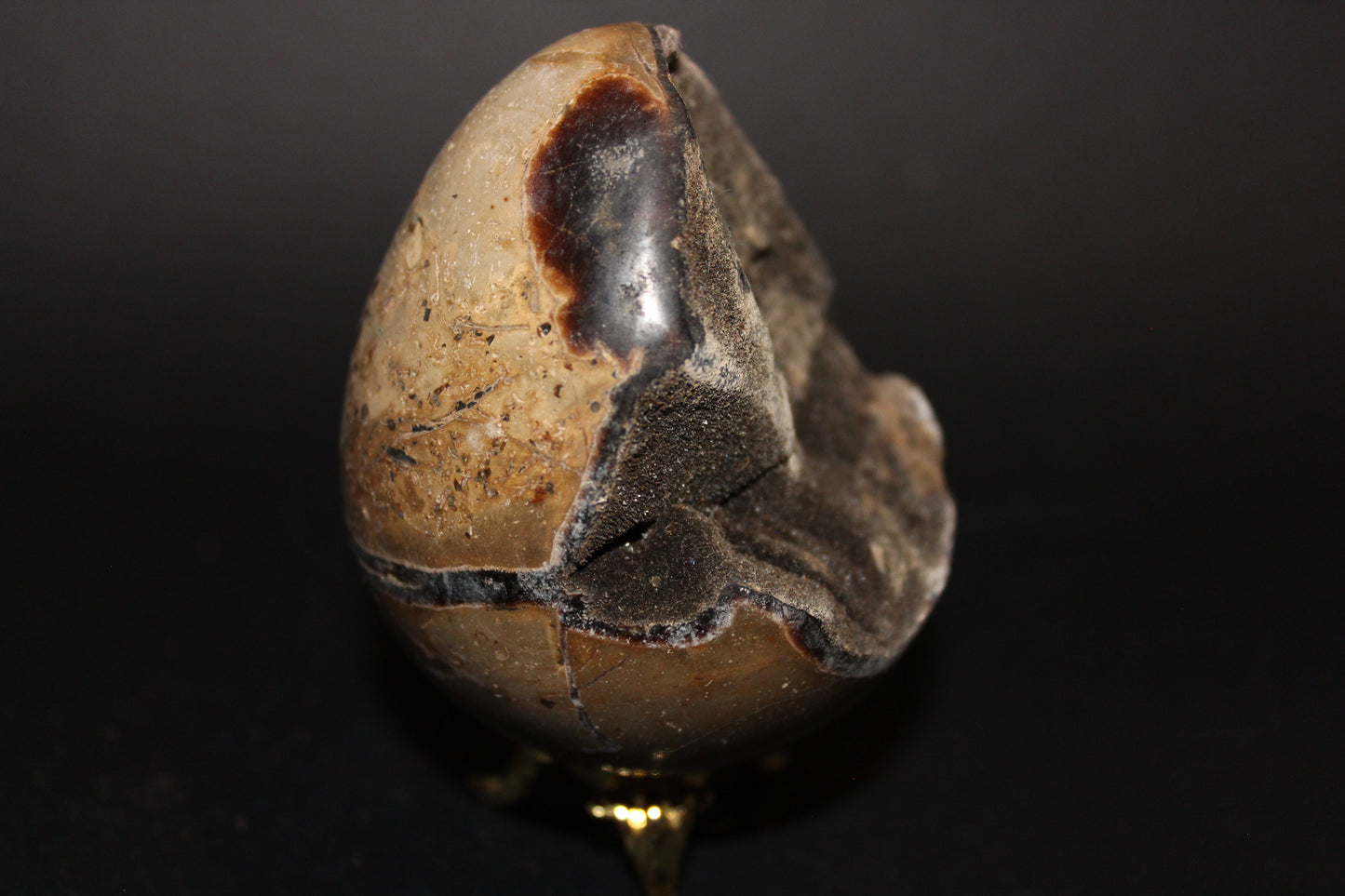 Carved - Egg (open) - Septarian