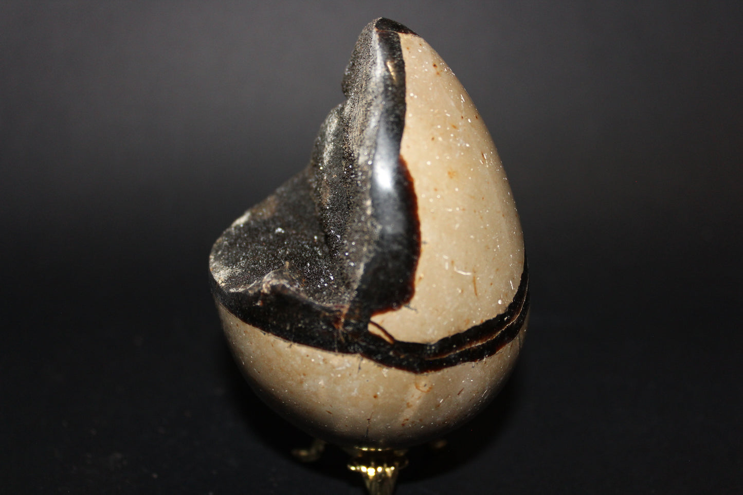 Carved - Egg (open) - Septarian