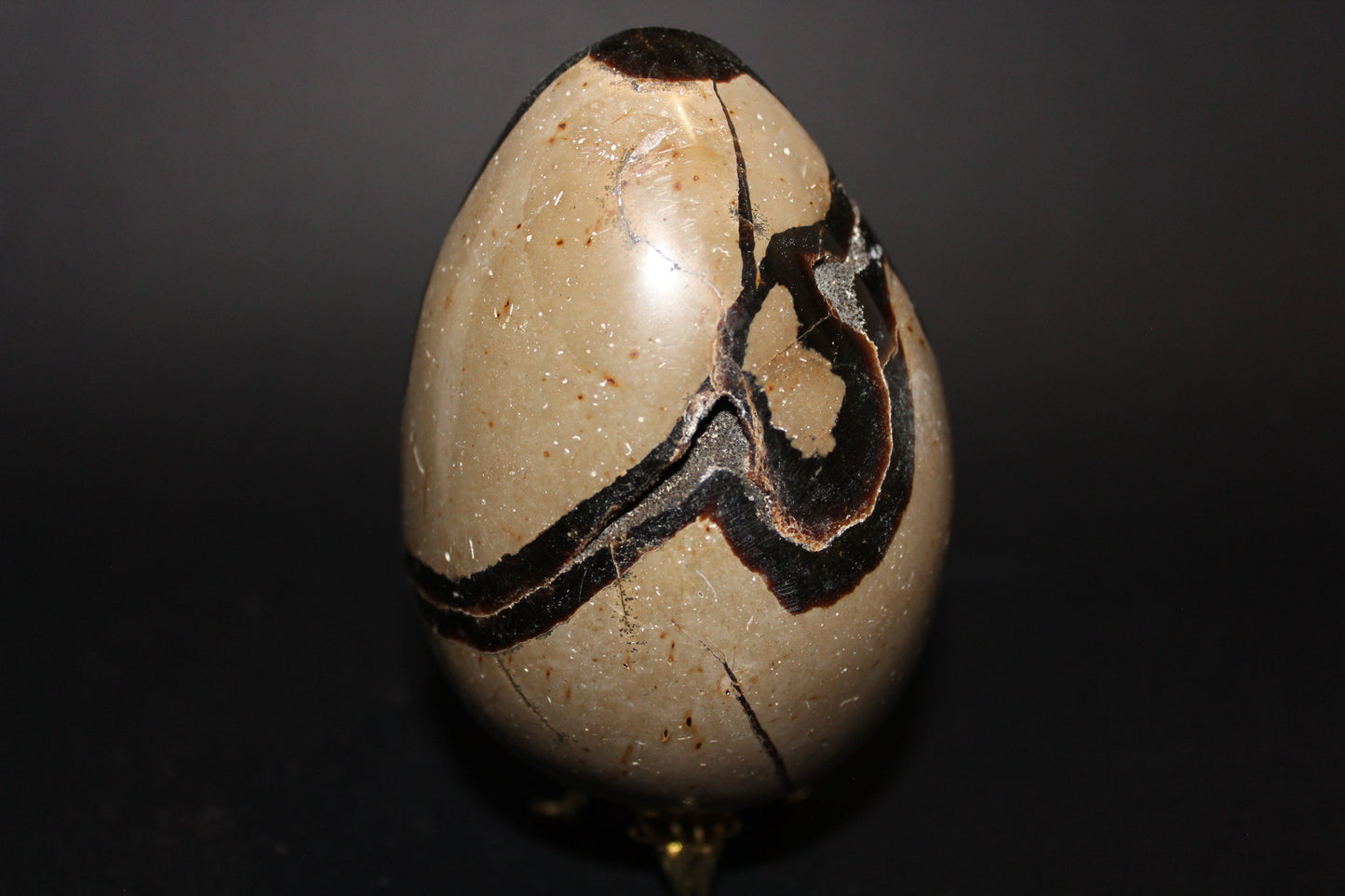 Carved - Egg (open) - Septarian