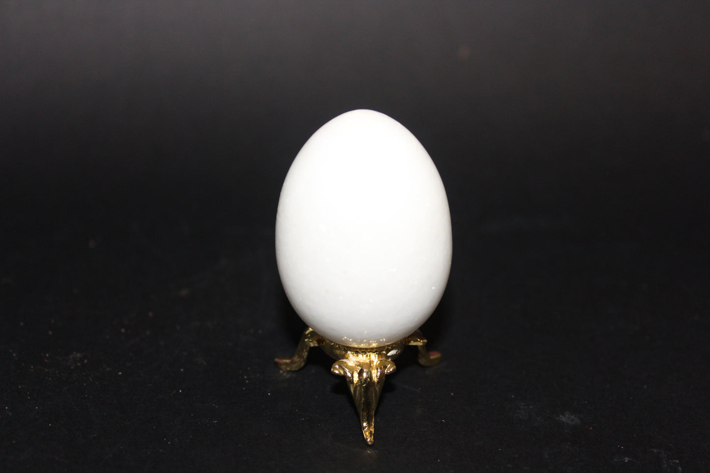 Carved - Egg - Snow Quartz