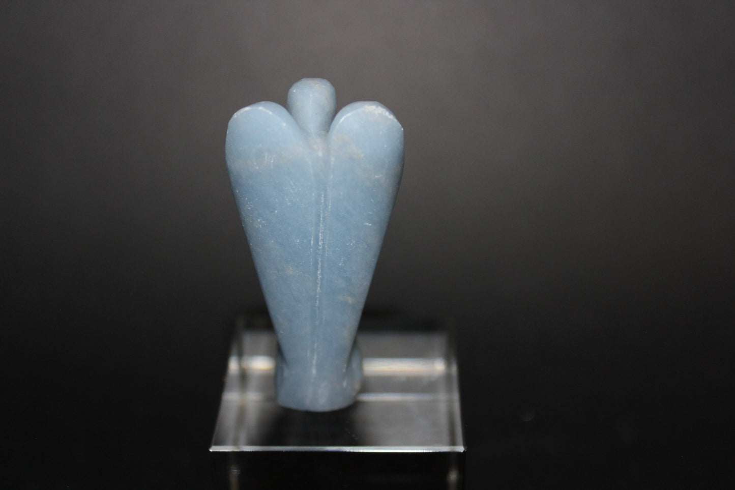 Angels - Angelite - med/lge