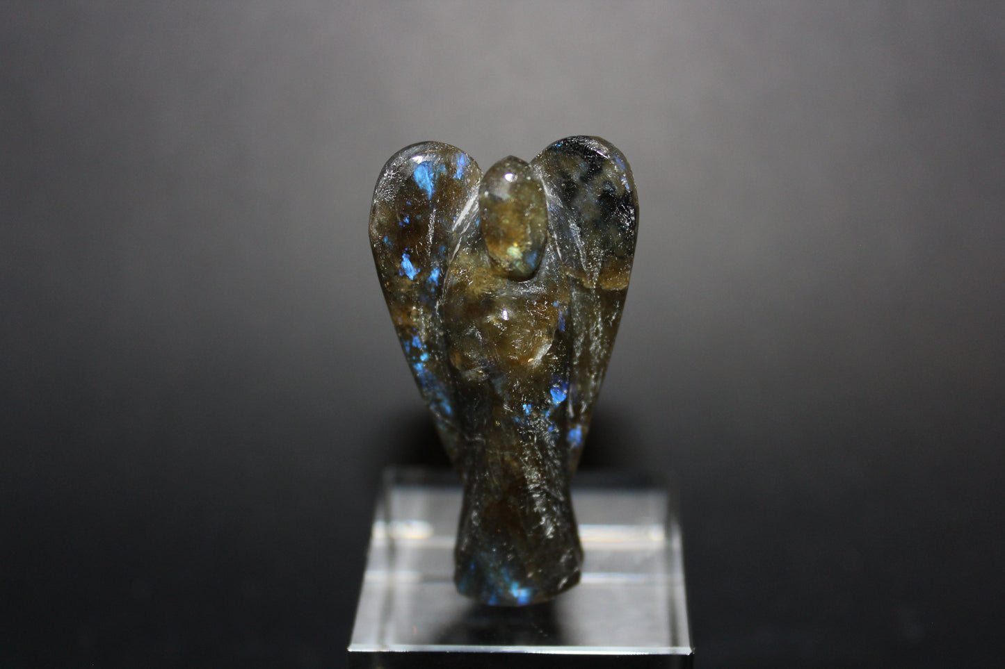 Angels - Labradorite - med