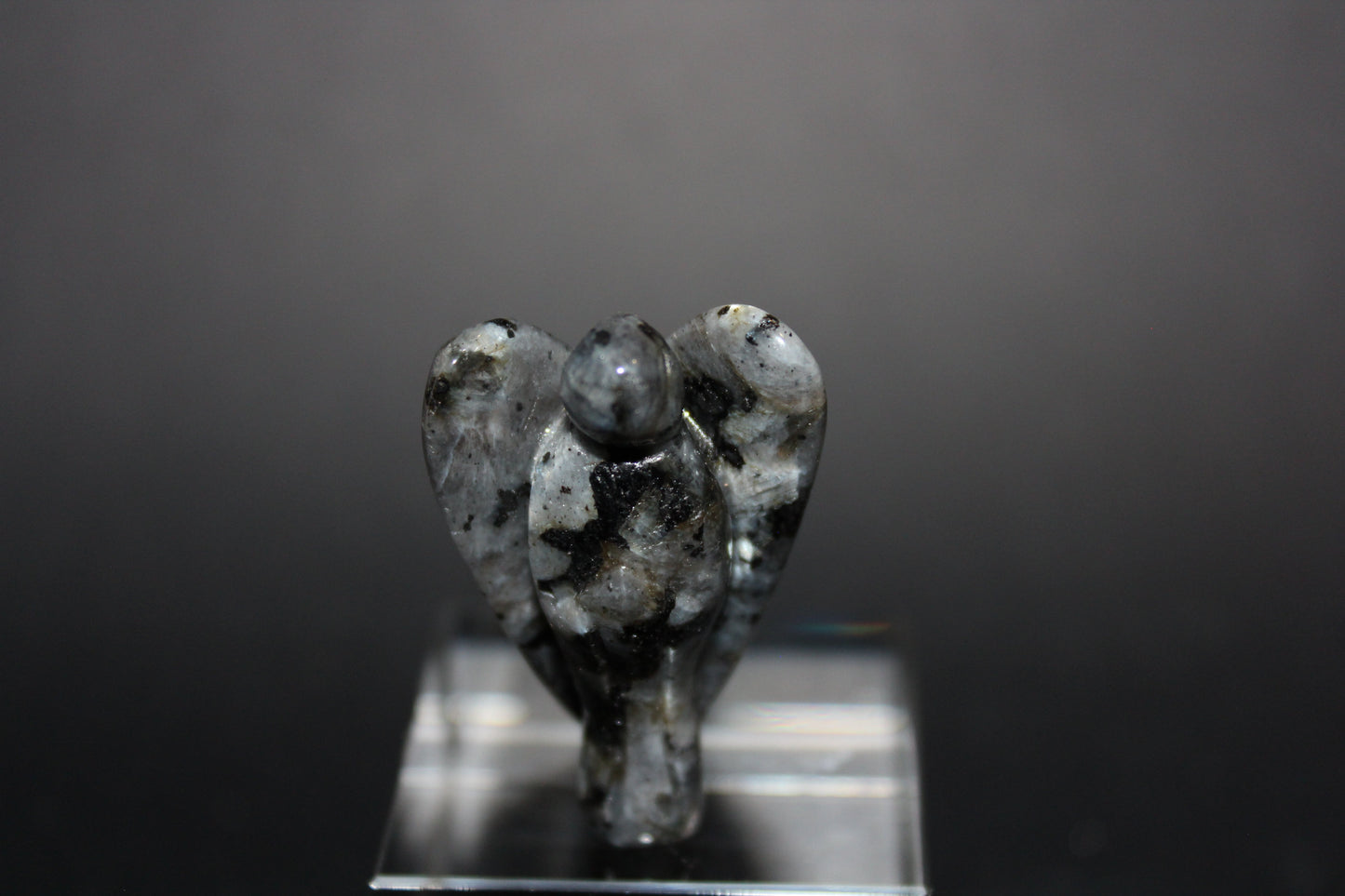 Angels - Larvikite (Black Moonstone) - sml