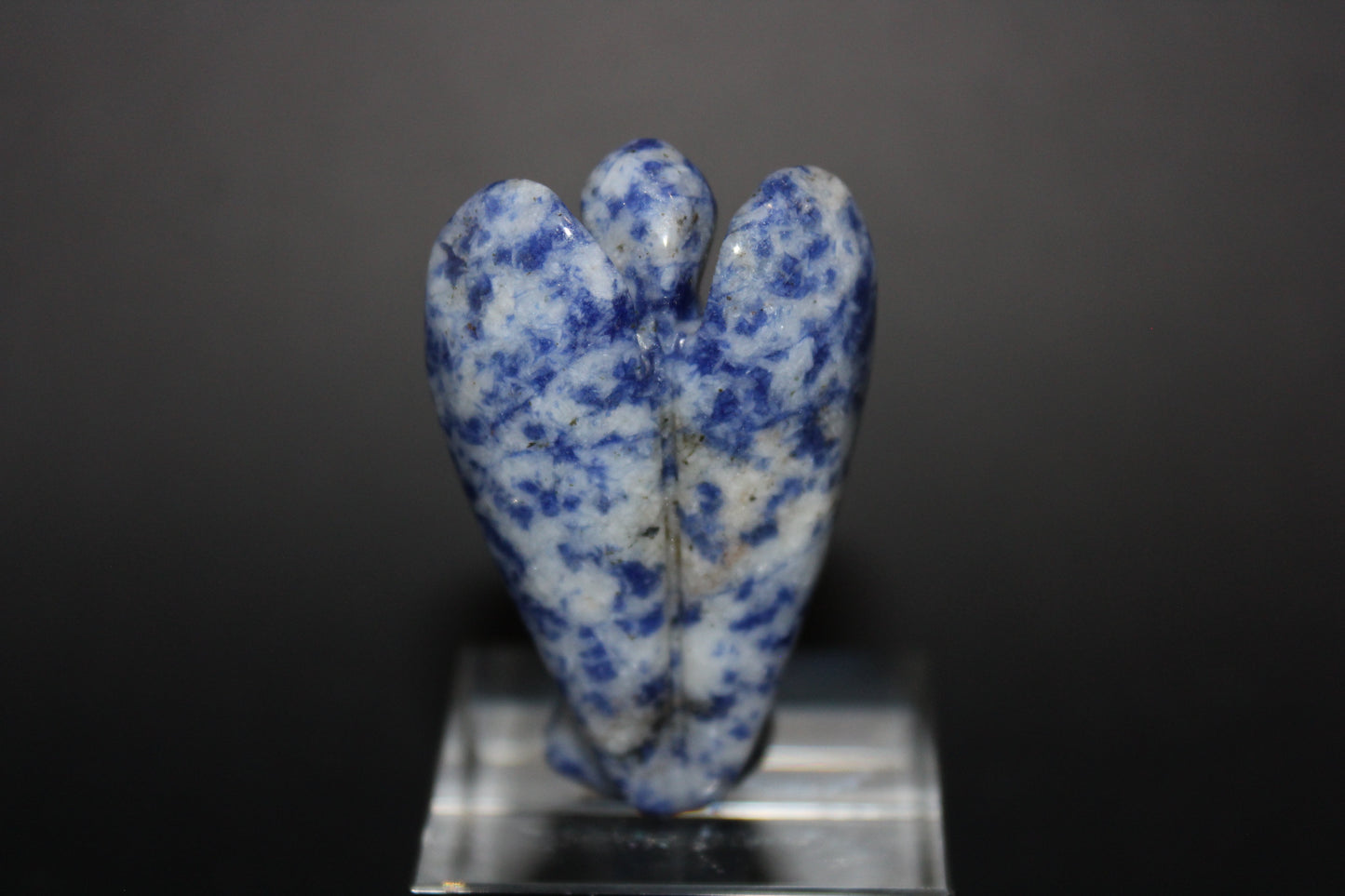 Angels - Sodalite - med