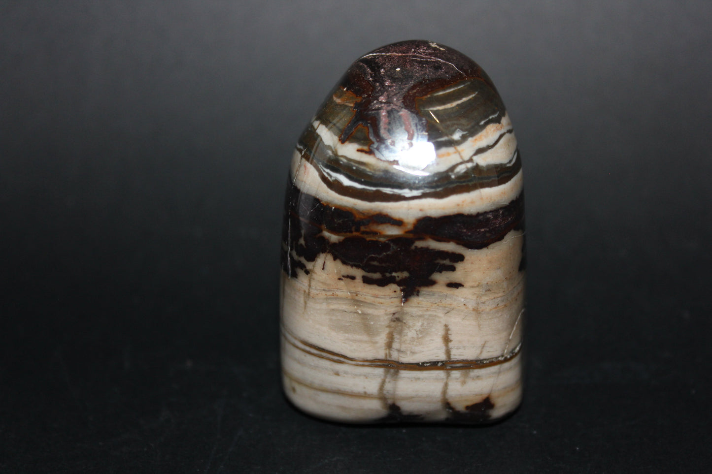 Polished - Brown Jasper - freeform - med
