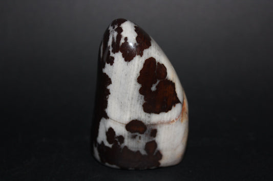 Polished - Brown Jasper - freeform - med