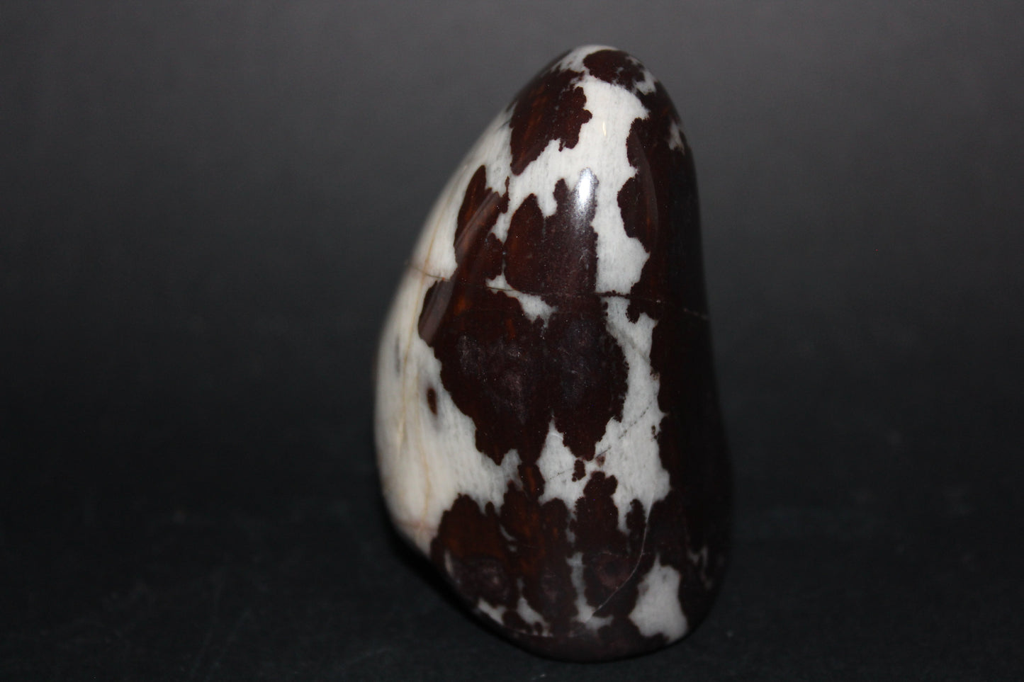 Polished - Brown Jasper - freeform - med