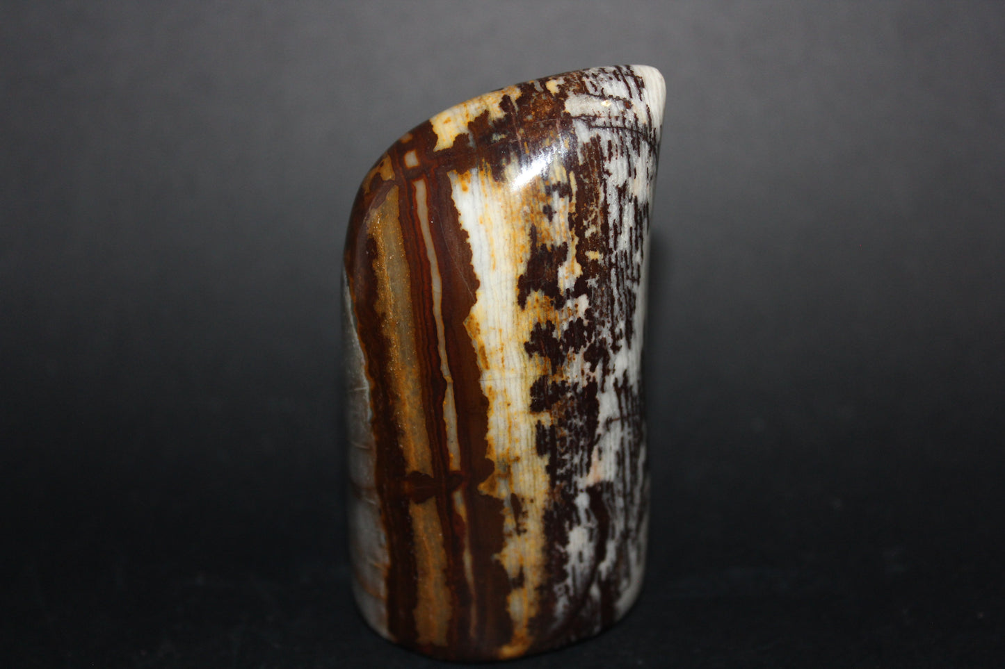 Polished - Brown Jasper - freeform - med