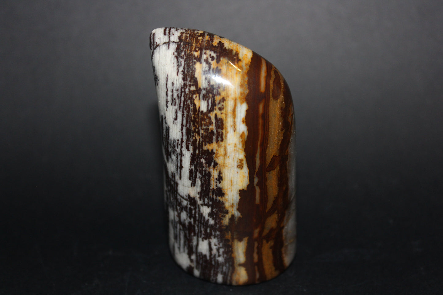 Polished - Brown Jasper - freeform - med