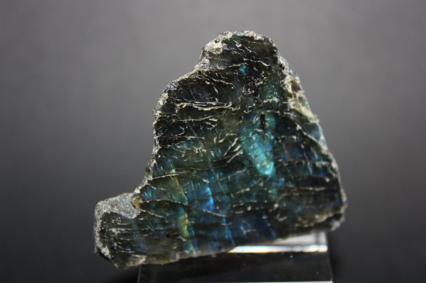 Polished - Labradorite - sml