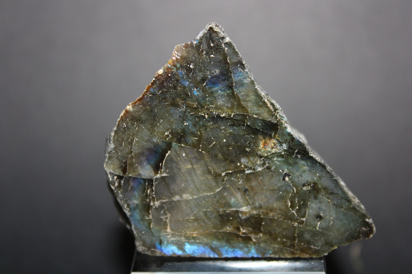 Polished - Labradorite - sml