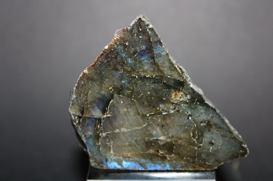 Polished - Labradorite - sml