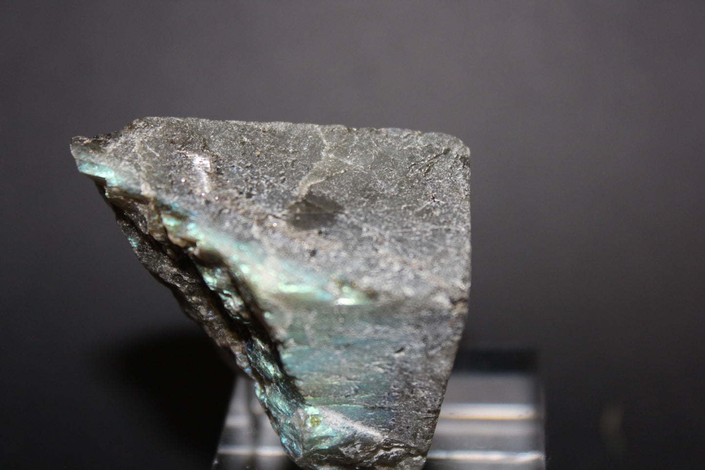 Polished - Labradorite - sml