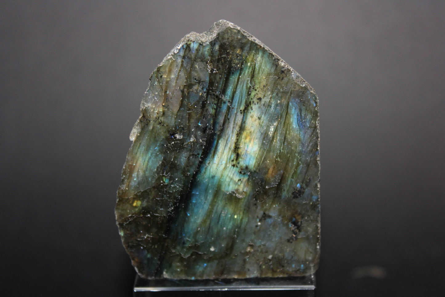 Polished - Labradorite - sml