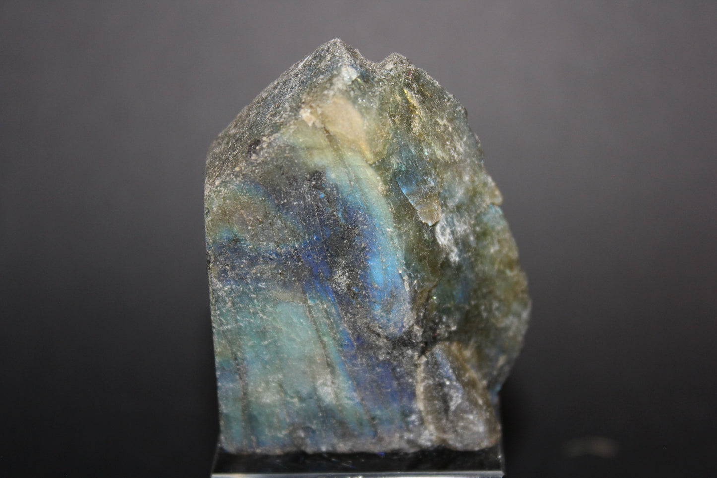 Polished - Labradorite - sml