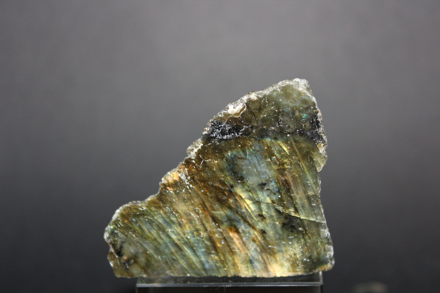 Polished - Labradorite - sml