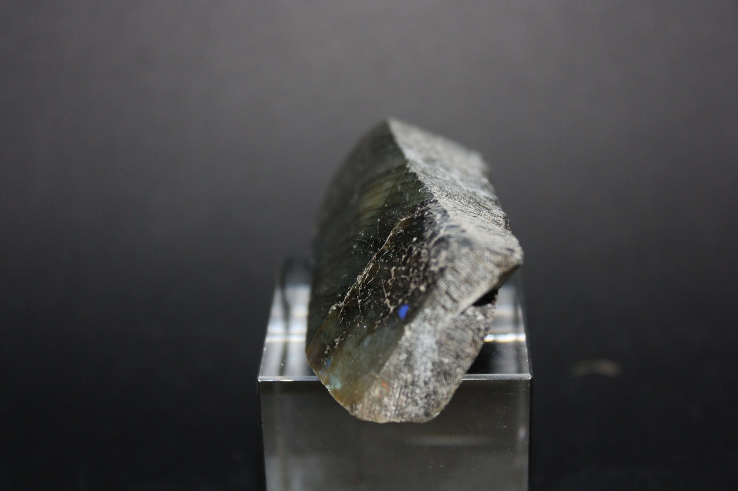 Polished - Labradorite - sml