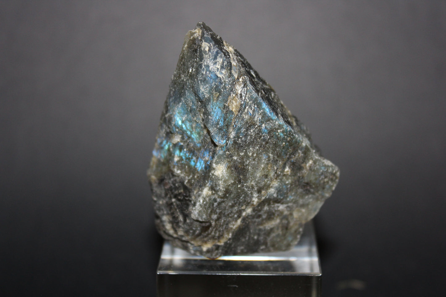 Polished - Labradorite - sml