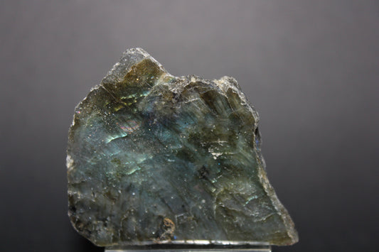Polished - Labradorite - sml
