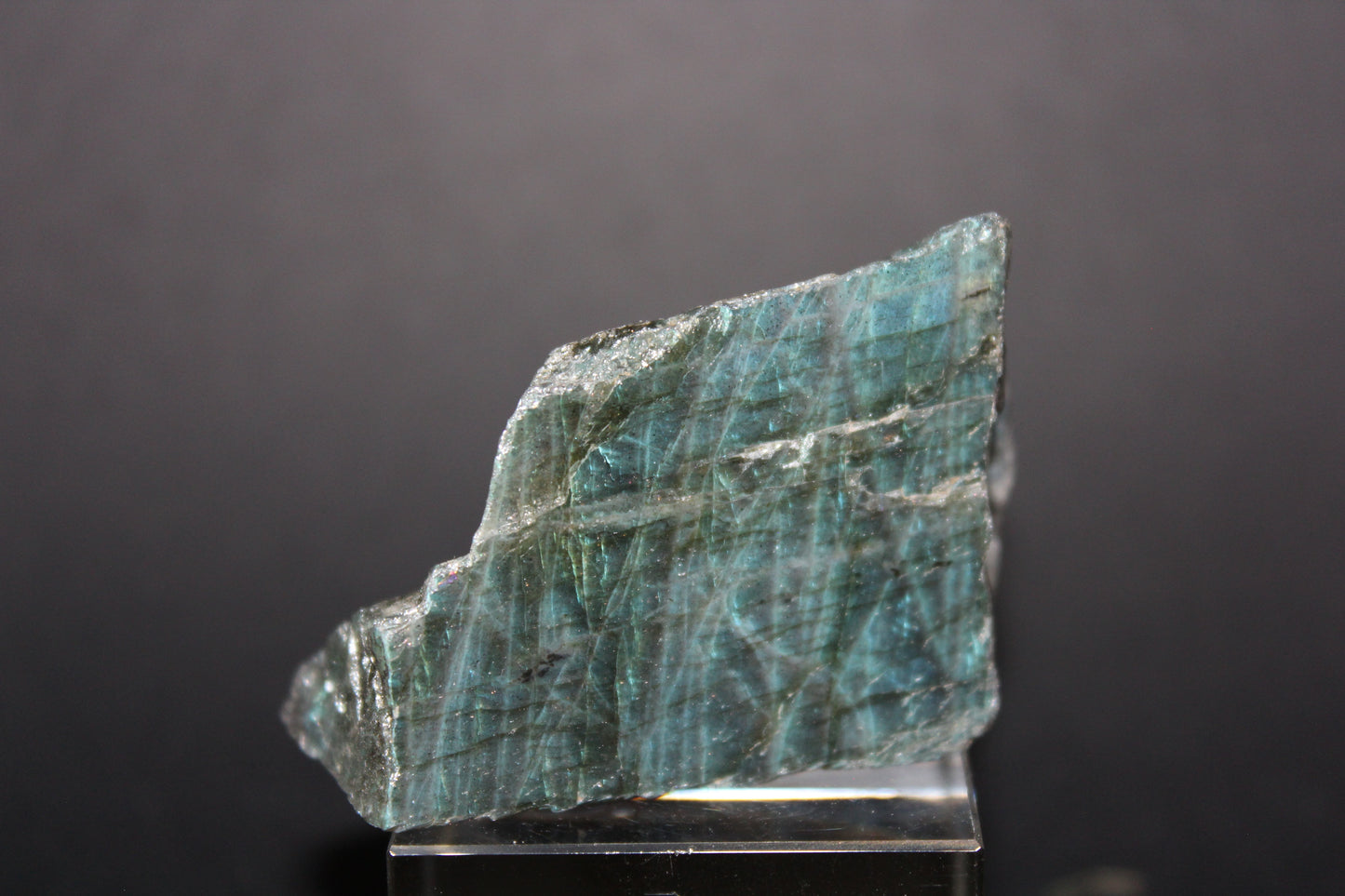 Polished - Labradorite - sml