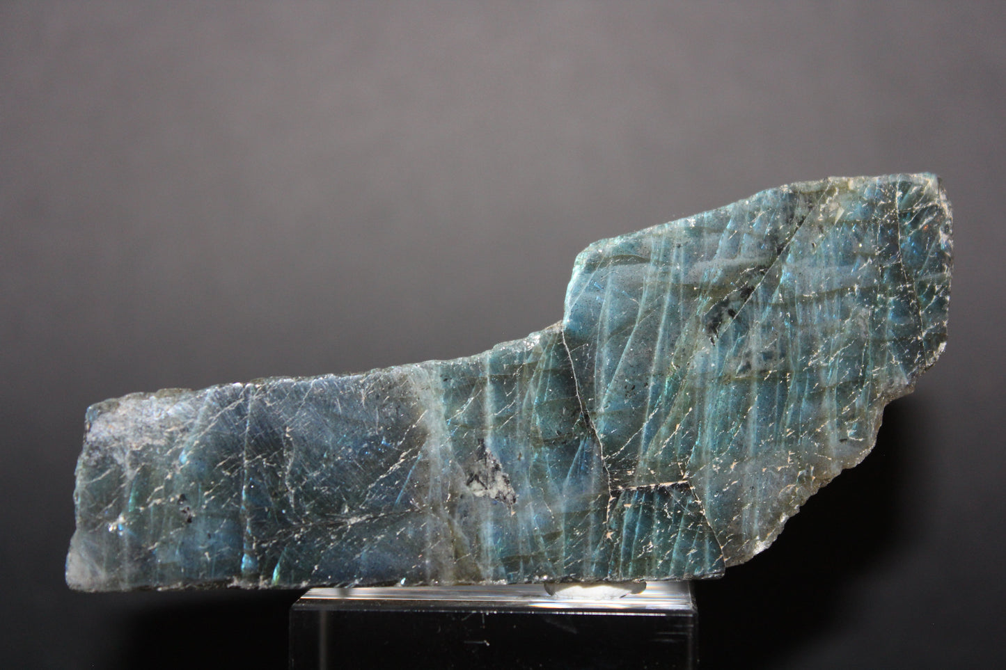 Polished - Labradorite - sml