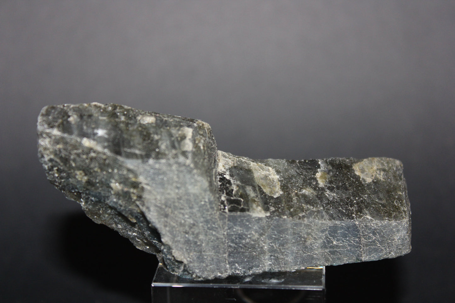 Polished - Labradorite - sml