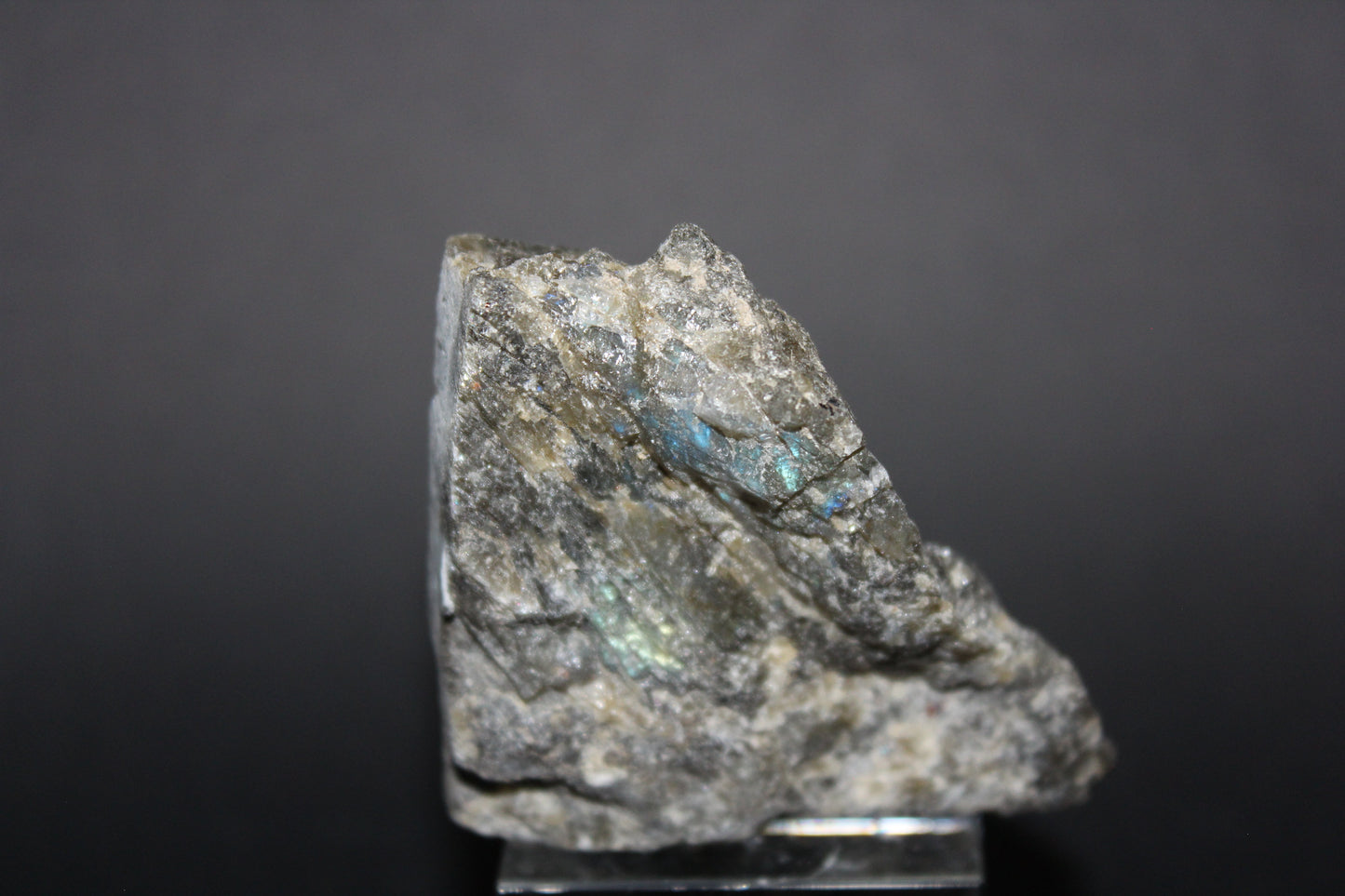 Polished - Labradorite - sml