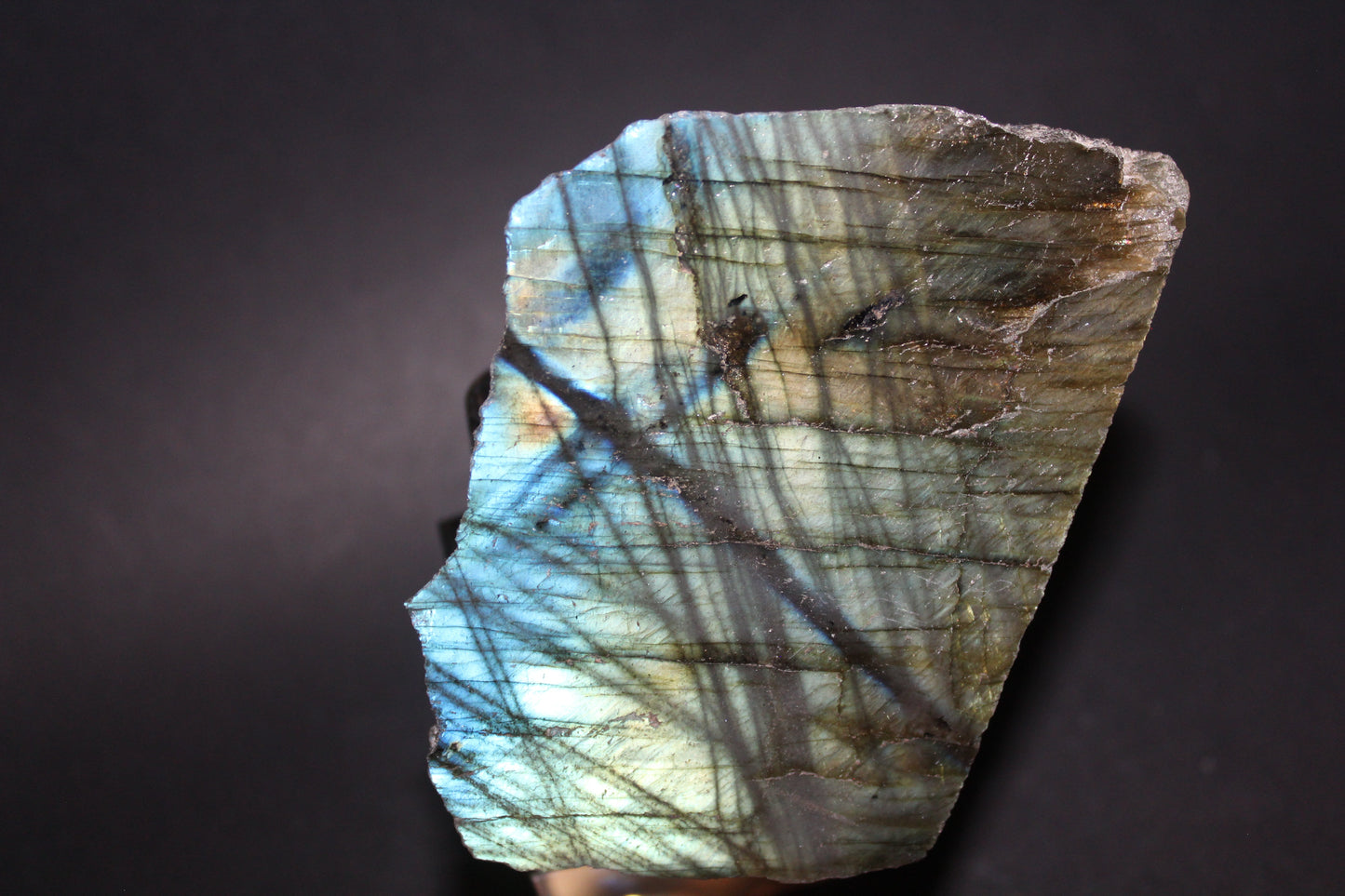 Polished - Labradorite - sml
