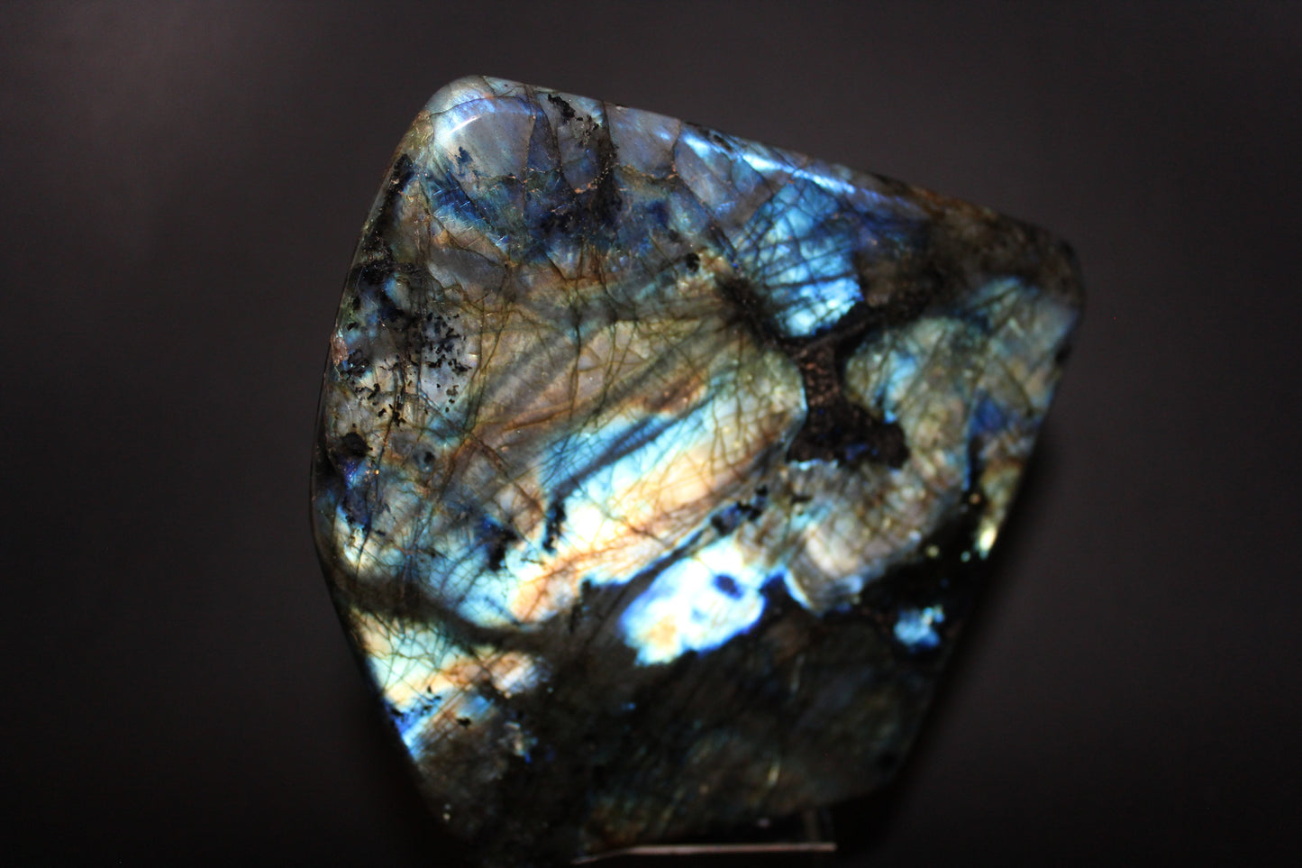 Polished - Labradorite - lge