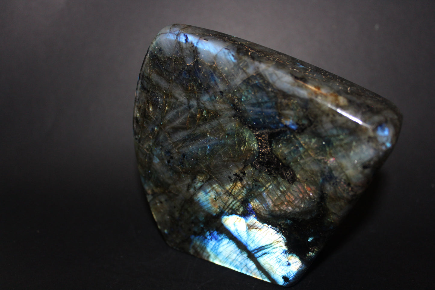 Polished - Labradorite - lge