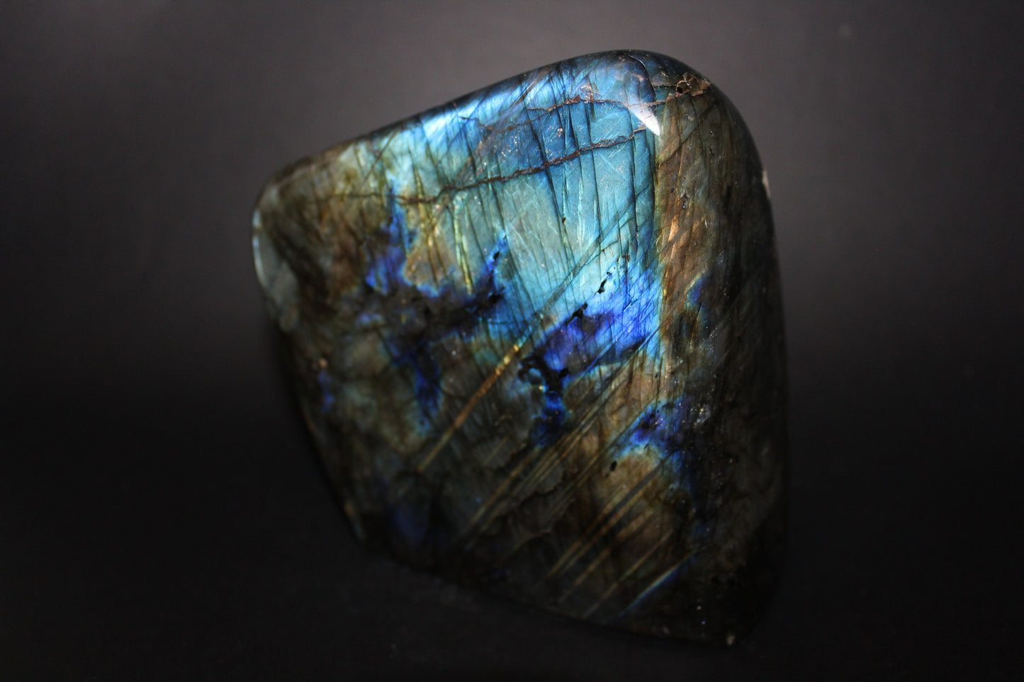 Polished - Labradorite - lge
