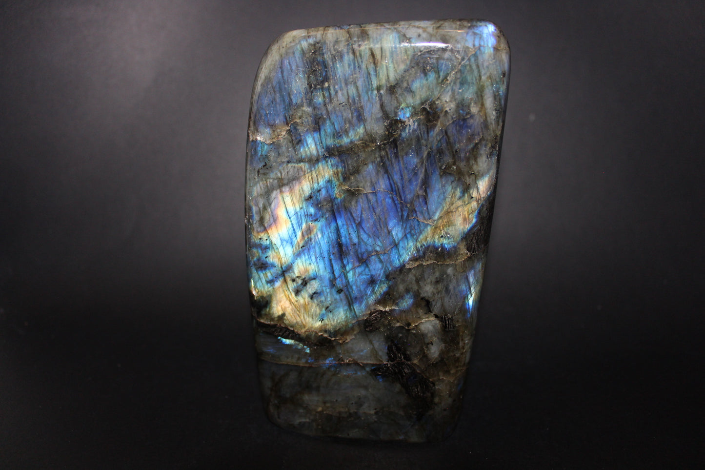 Polished - Labradorite - lge