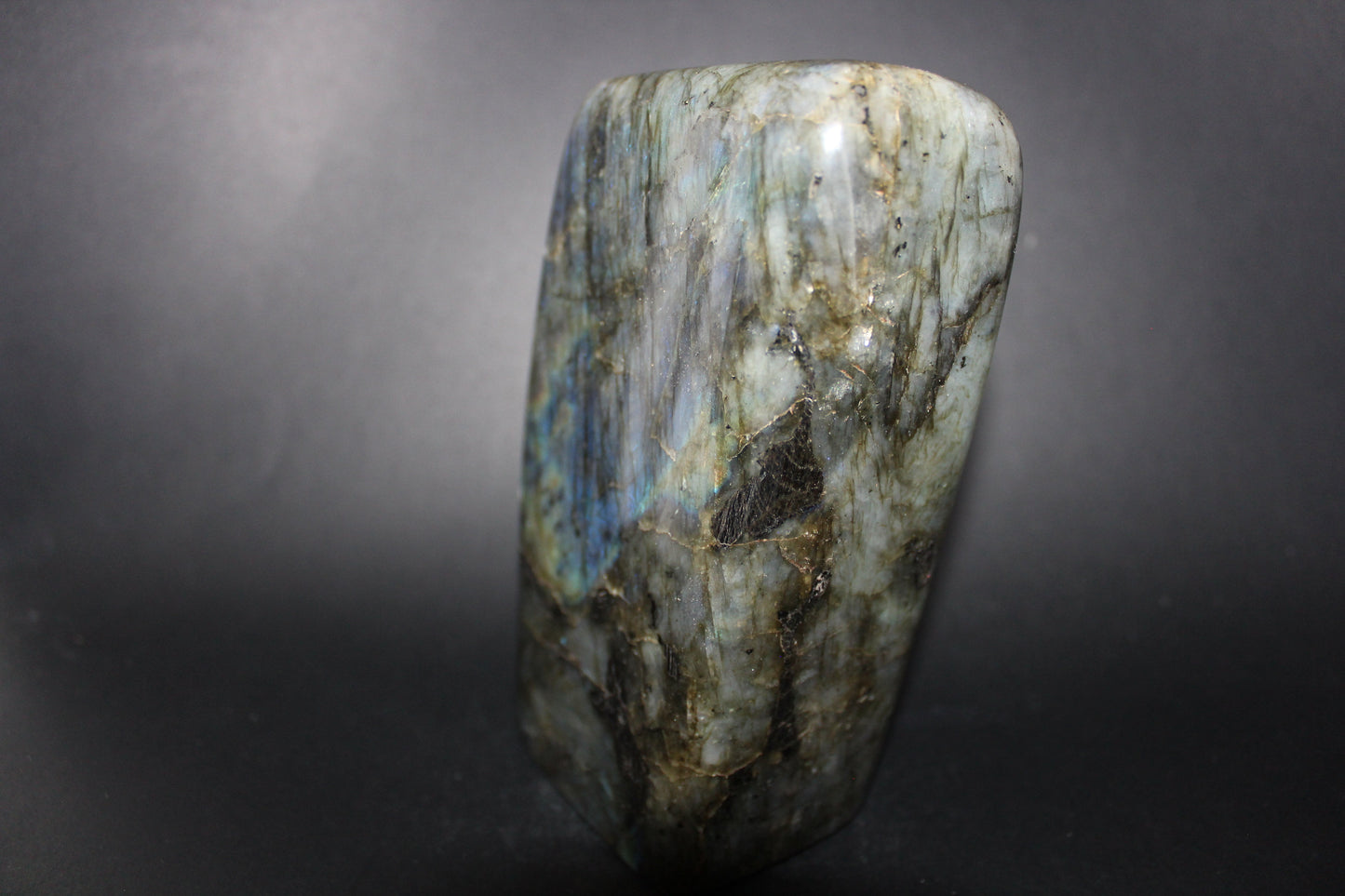 Polished - Labradorite - lge