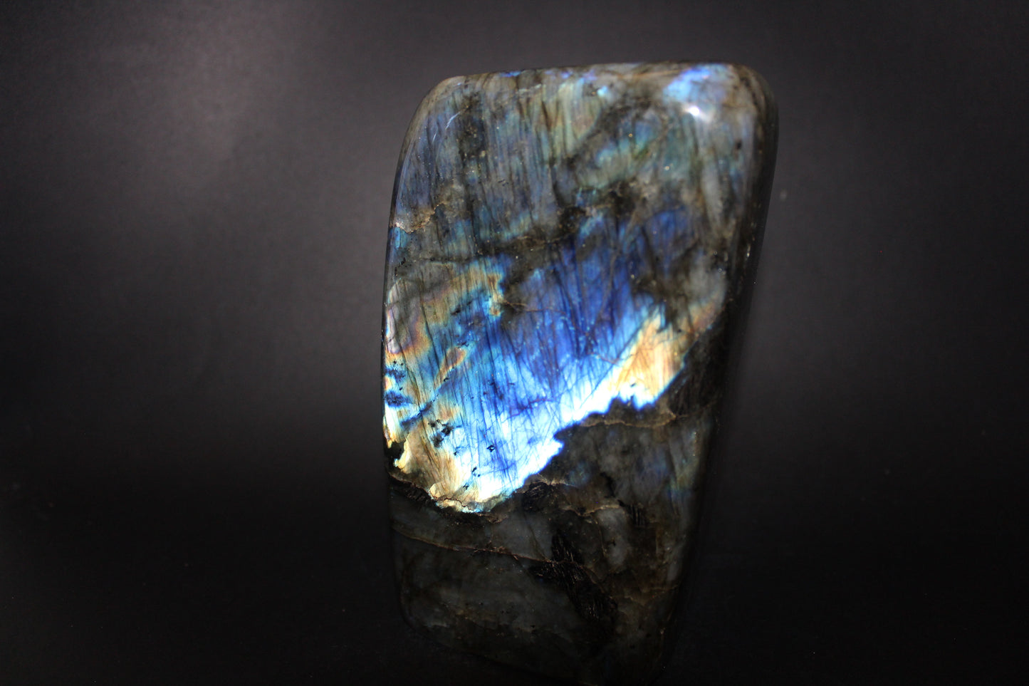 Polished - Labradorite - lge