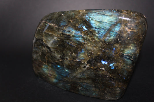 Polished - Labradorite - lge