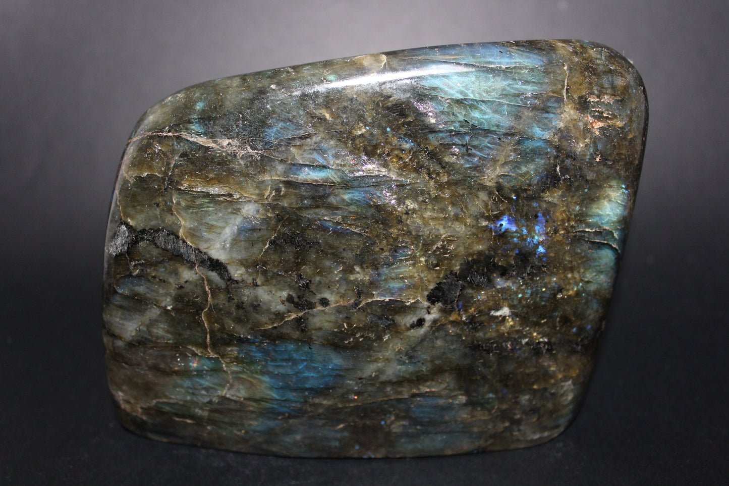 Polished - Labradorite - lge