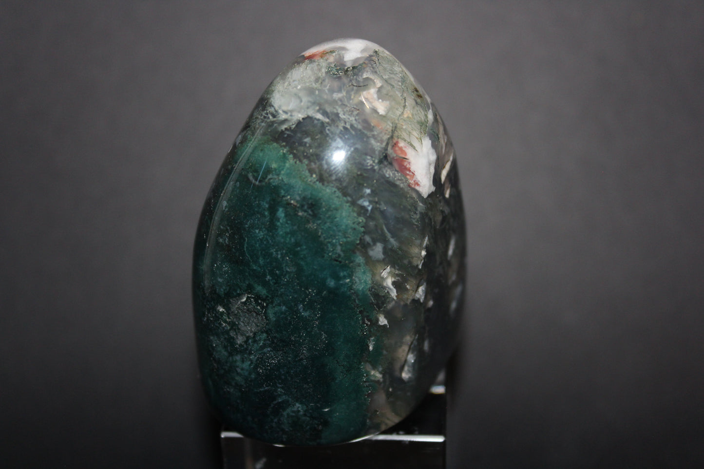 Polished - Moss Agate - freeform