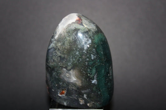 Polished - Moss Agate - freeform