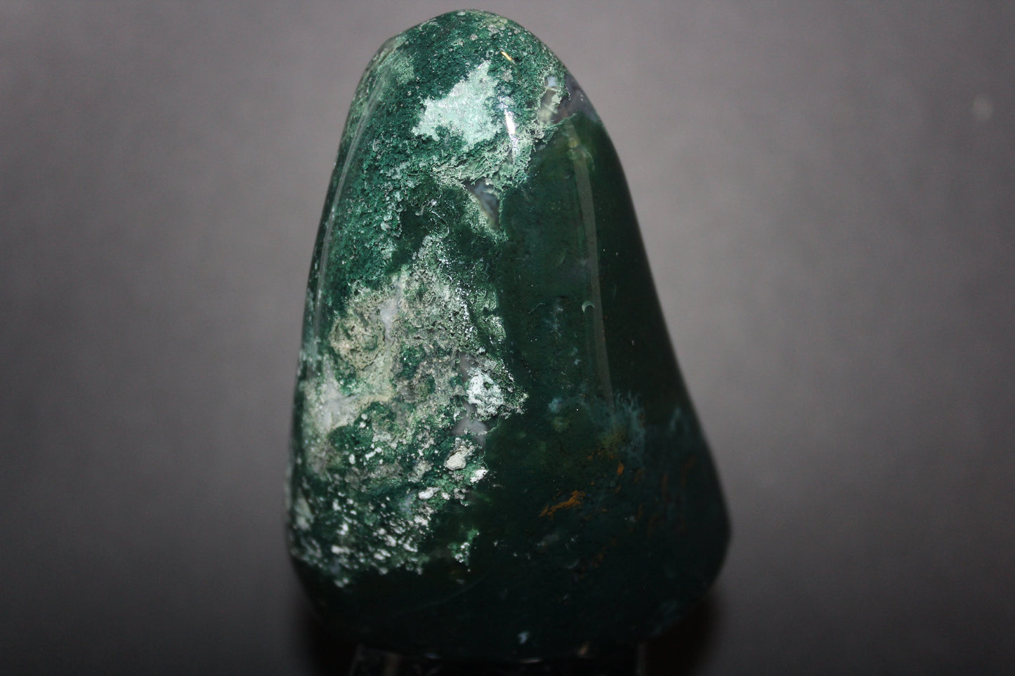 Polished - Moss Agate - freeform