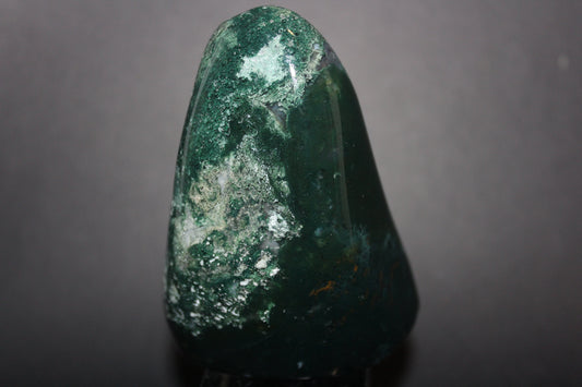Polished - Moss Agate - freeform