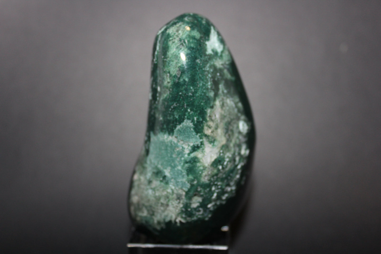 Polished - Moss Agate - freeform