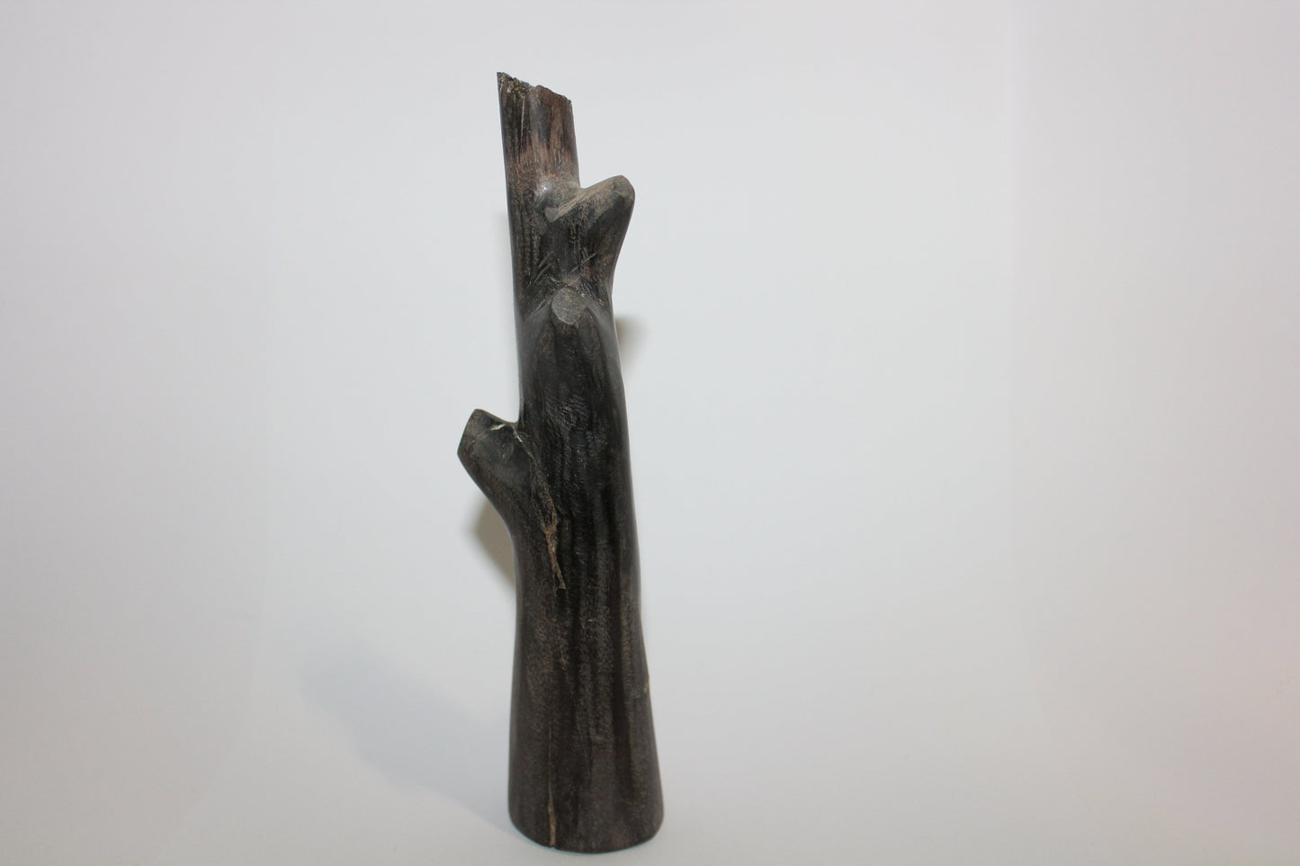 Polished - Petrified Wood - branch